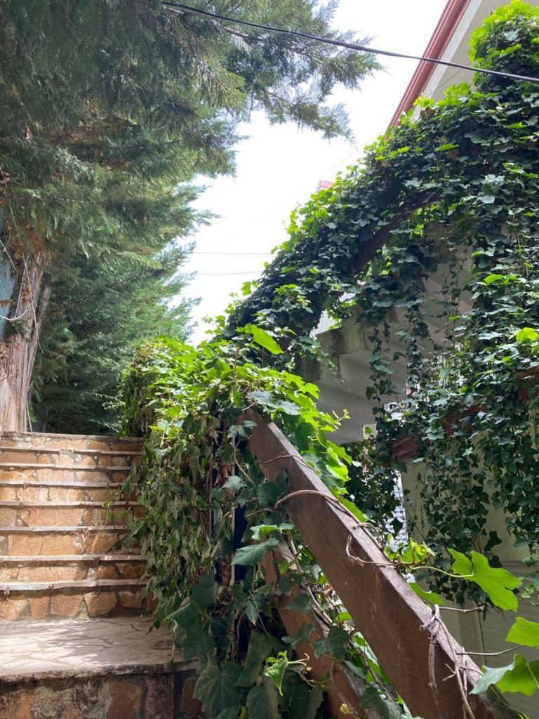 The Olives Terrace Residences Дхерми Экстерьер фото